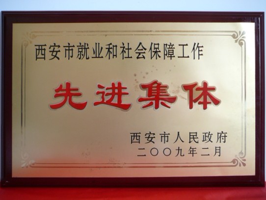 2009年2月，，，被西安市政府评为西安市就业和社会包管事情先进整体