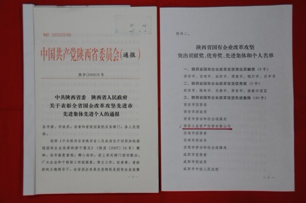 2009年2月，，，被陕西省委、省政府授予陕西省国有企业刷新攻坚先进整体